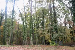 618 Old Doss Dr, Canton, GA 30115 - Photo 31
