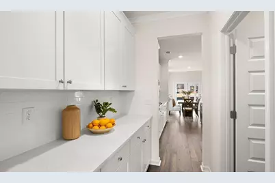 305 Staffin Drive, Senoia, GA 30276 - Photo 13