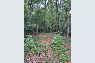 16653 Highway 36, Covington, GA 30014 - Photo 49