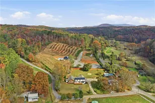 34 Bodie Rd, Talking Rock, GA 30175 - Photo 3