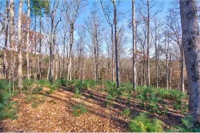 193-4 Oakwood Way, Blairsville, GA 30512 - Photo 3