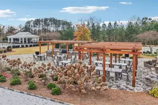 126 Mulberry Ct, Peachtree City, GA 30269 - Photo 73