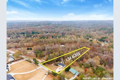 1384 Pocket Road, Braselton, GA 30517 - Photo 45