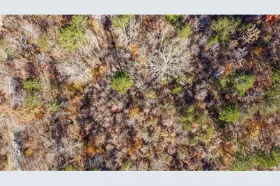 0 Auraria Road, Dawsonville, GA 30534 - Photo 5