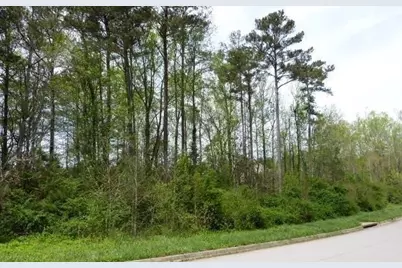 204 Benefield Court, Stockbridge, GA 30281 - Photo 11