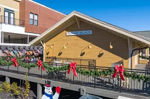 6660 Parsons St, Flowery Branch, GA 30542 - Photo 59