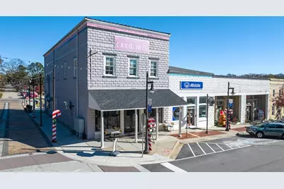 6660 Parsons Street, Flowery Branch, GA 30542 - Photo 71