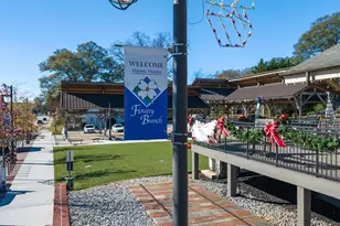 6660 Parsons St, Flowery Branch, GA 30542 - Photo 61