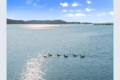 5431 Mayflower Court, Gainesville, GA 30504 - Photo 59