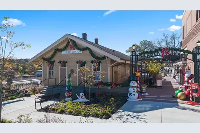 6664 Parsons Street, Flowery Branch, GA 30542 - Photo 99