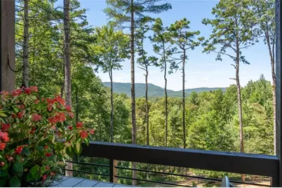 454 N Old Aska Road N, Blue Ridge, GA 30513 - Photo 33