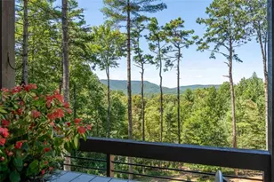 454 N Old Aska Road N, Blue Ridge, GA 30513 - Photo 33