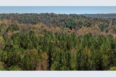 0 Jones Ferry Road #Lot 1, Chattahoochee Hills, GA 30268 - Photo 3