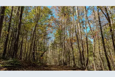 0 Jones Ferry Road #Lot 1, Chattahoochee Hills, GA 30268 - Photo 5