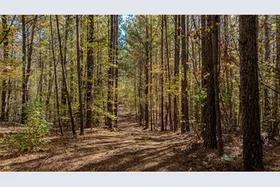 0 Jones Ferry Road #Lot 1, Chattahoochee Hills, GA 30268 - Photo 1