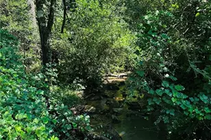 368 Dixon Rd, Demorest, GA 30535 - Photo 11