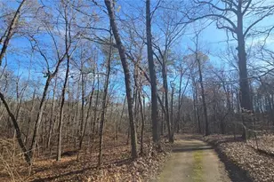 124 Puckett Rd SE, Emerson, GA 30137 - Photo 19