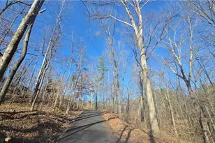 124 Puckett Rd SE, Emerson, GA 30137 - Photo 3