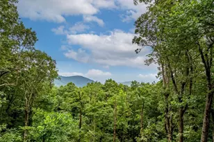 31 High Cliff Rd, Jasper, GA 30143 - Photo 17