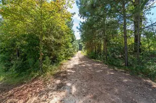 6058 Mt Zion Rd, Waco, GA 30182 - Photo 9