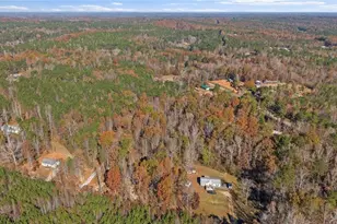 256 Mangham Rd, Bremen, GA 30110 - Photo 45