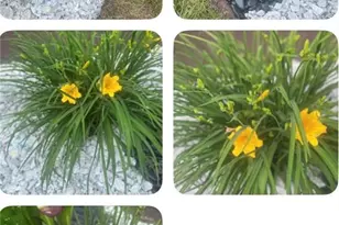 2835 Peek Road NW, Atlanta, GA 30318 - Photo 7