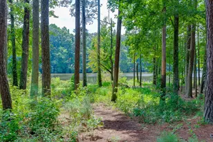 2930 Aquitania Ln, Cumming, GA 30040 - Photo 69