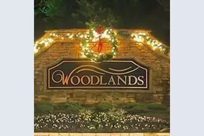 319 Dexter Drive, Woodstock, GA 30188 - Photo 47