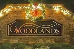 319 Dexter Dr, Woodstock, GA 30188 - Photo 47