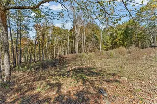 110A Williams Road SE, Silver Creek, GA 30173 - Photo 49