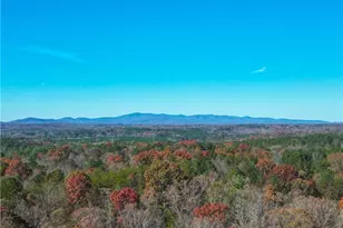 312 Flowing Trail, Dawsonville, GA 30534 - Photo 61