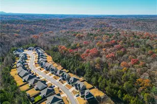 312 Flowing Trail, Dawsonville, GA 30534 - Photo 63