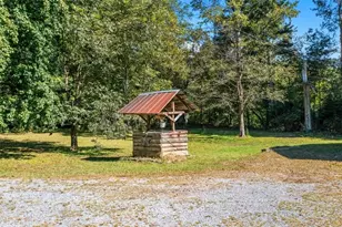910 Brush Town Rd, Cisco, GA 30708 - Photo 3