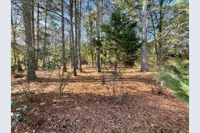 10 Tabasco Cat Court, Cartersville, GA 30120 - Photo 31