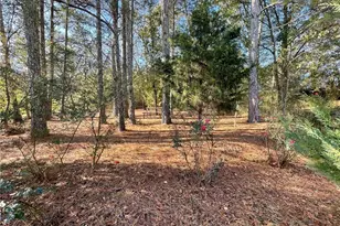 10 Tabasco Cat Ct, Cartersville, GA 30120 - Photo 31