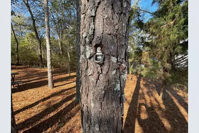 10 Tabasco Cat Court, Cartersville, GA 30120 - Photo 33