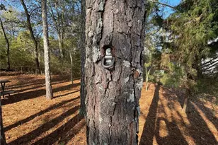 10 Tabasco Cat Ct, Cartersville, GA 30120 - Photo 33