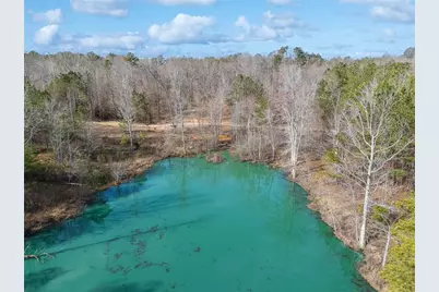 153 Clover Path, Dallas, GA 30132 - Photo 49