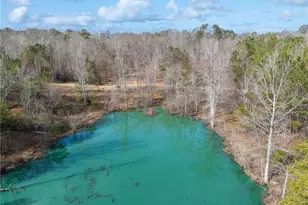 153 Clover Path, Dallas, GA 30132 - Photo 49