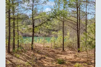 153 Clover Path, Dallas, GA 30132 - Photo 43