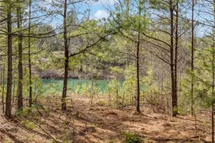 153 Clover Path, Dallas, GA 30132 - Photo 43