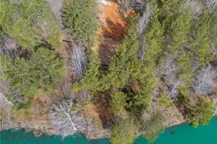 153 Clover Path, Dallas, GA 30132 - Photo 51