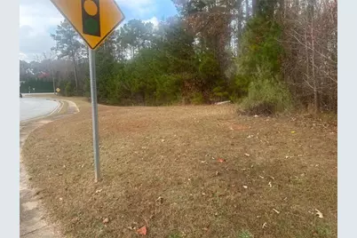 0 Hilo Road, Fayetteville, GA 30215 - Photo 9