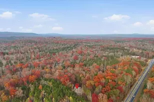 875 Knox Bridge Hwy, White, GA 30184 - Photo 53