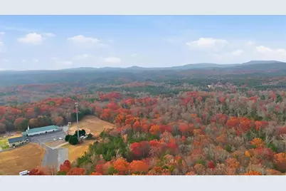 875 Knox Bridge Highway, White, GA 30184 - Photo 55