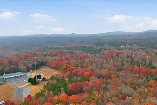 875 Knox Bridge Hwy, White, GA 30184 - Photo 55