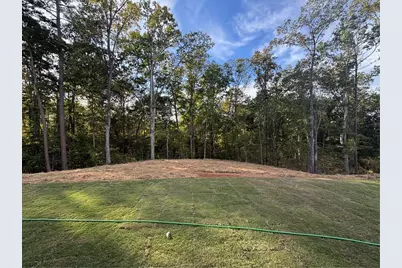 3360 Trevi Trail, Douglasville, GA 30135 - Photo 5