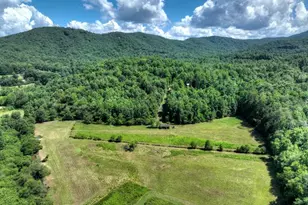 28 Ac Jolley Way, Epworth, GA 30541 - Photo 3