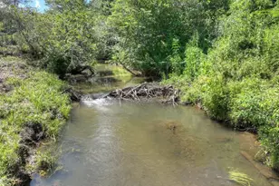 28 Ac Jolley Way, Epworth, GA 30541 - Photo 47