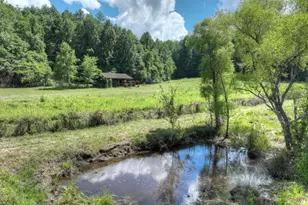 28 Ac Jolley Way, Epworth, GA 30541 - Photo 55